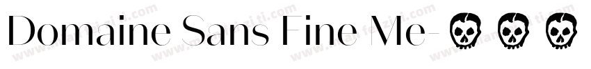 Domaine Sans Fine Me字体转换